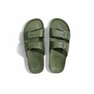 Cactus thumbnail