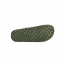 Cactus thumbnail